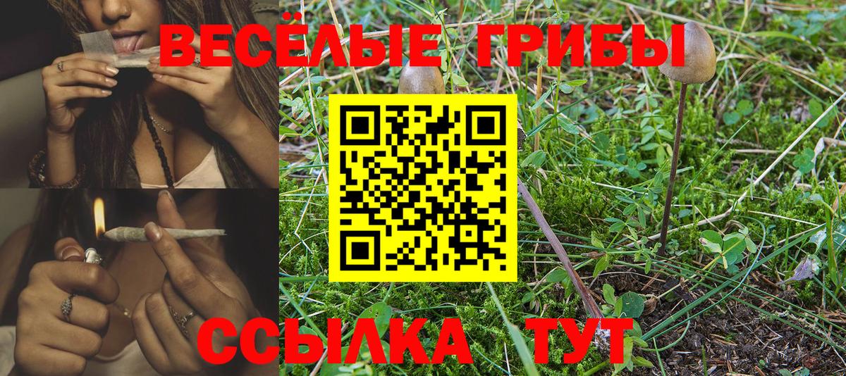 Псилоцибиновые грибы Psilocybine cubensis  Вход с VPN  Малгобек 